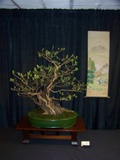 Annual Show 2011 - 27 2011